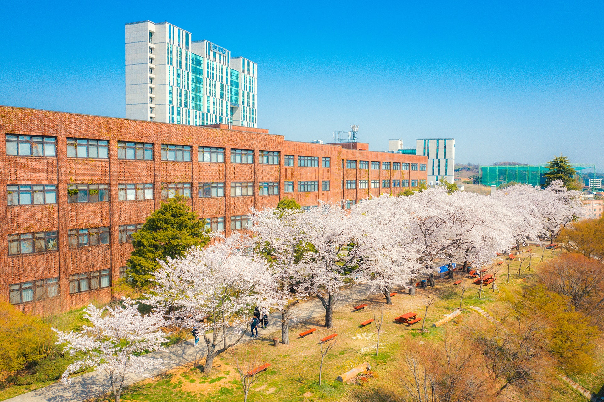 전주대학교 상담심리학과